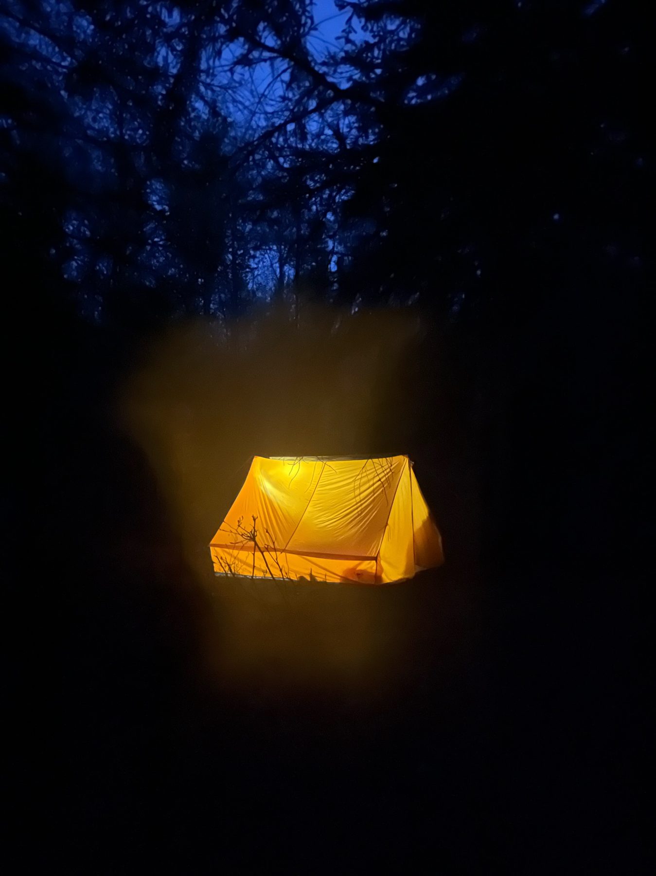 A glowing yellow tent in the woods at dusk on Isle Royale